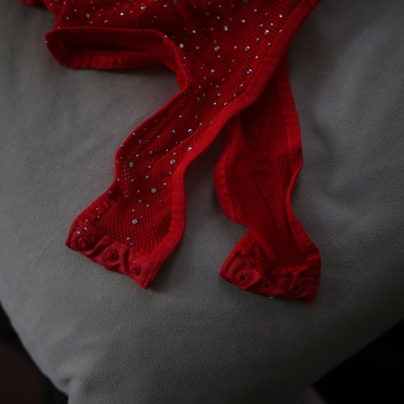 NWOT Red Rhinestone Fishnet Bodysuit. - Picture 4 of 8